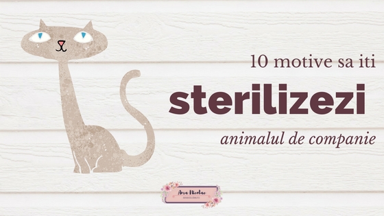 10 motive sa iti sterilizezi animalul de companie