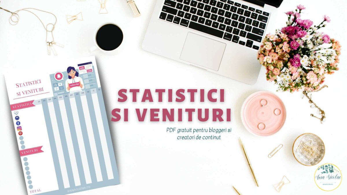 Statistici si venituri pentru bloggeri si creatori de continut